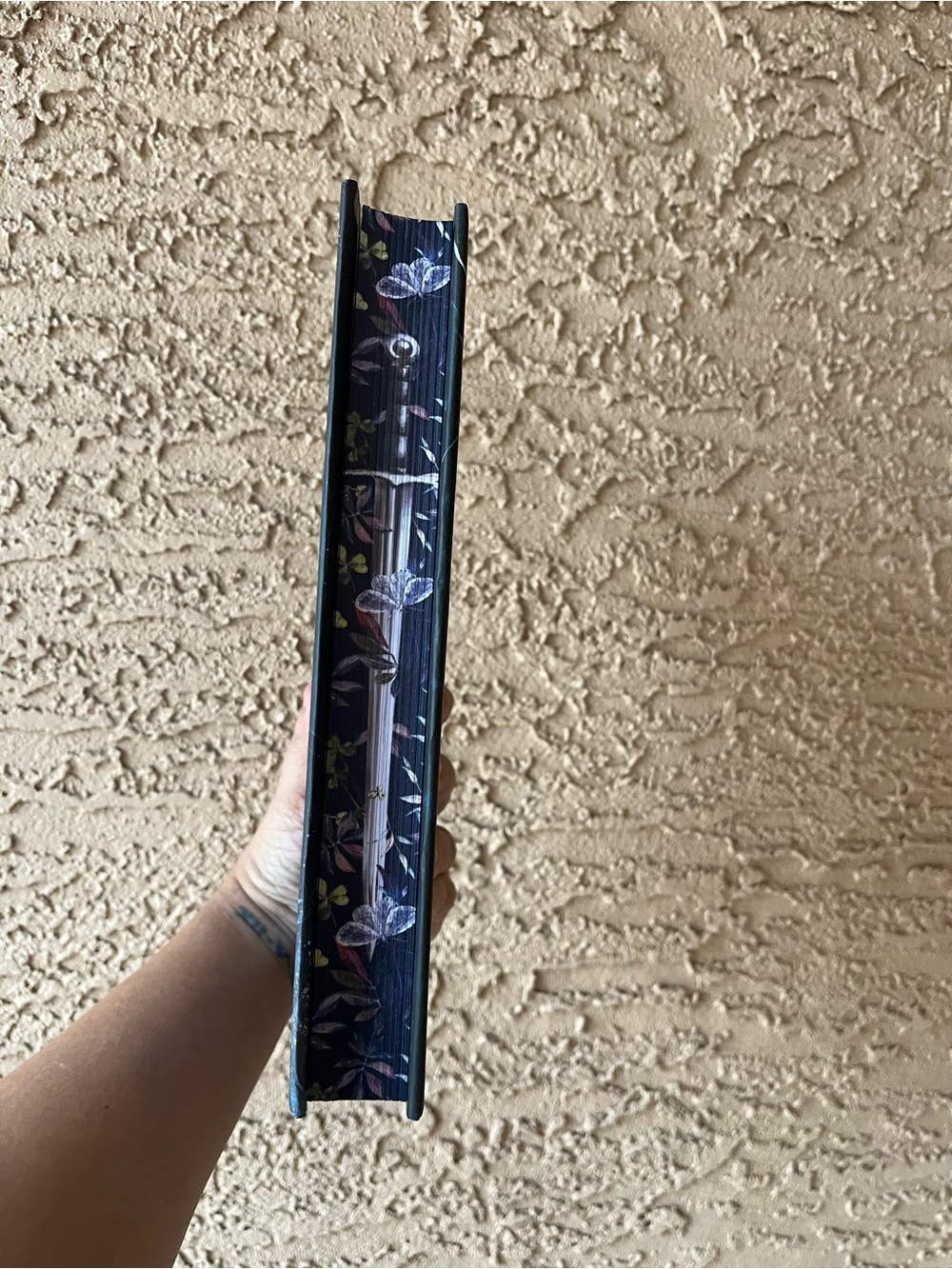 The Knight and the Moth by Rachel Gillig B&N Exclusive - Picture 2 of 3
